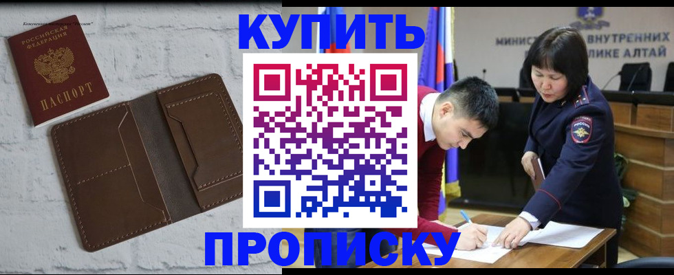 где прописаться в Коле