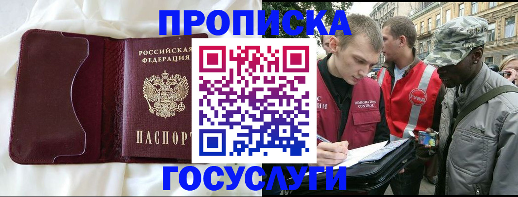 прописка законно в Коле